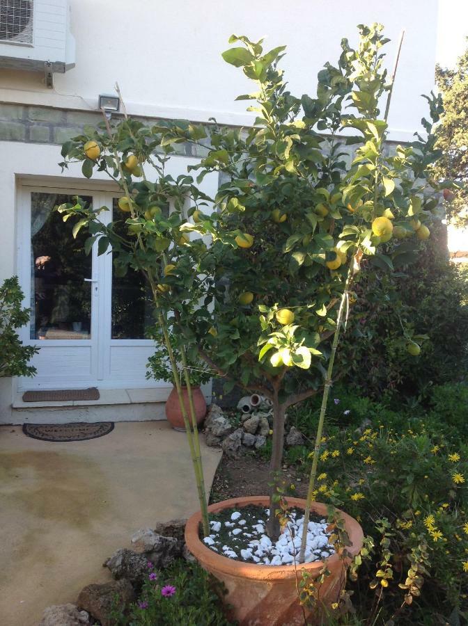 Rez De Villa Pebrier Fréjus Exterior foto
